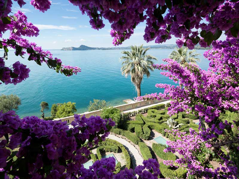 herrliche Blumen auf der Isola del Garda