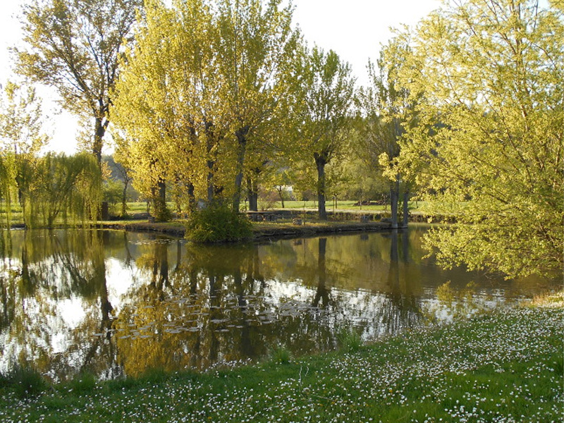 Park mit Teich, Gardahill, Gardasee
