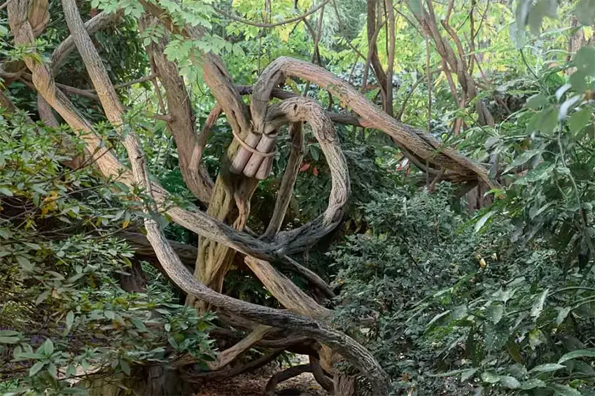 Fondazione André Heller