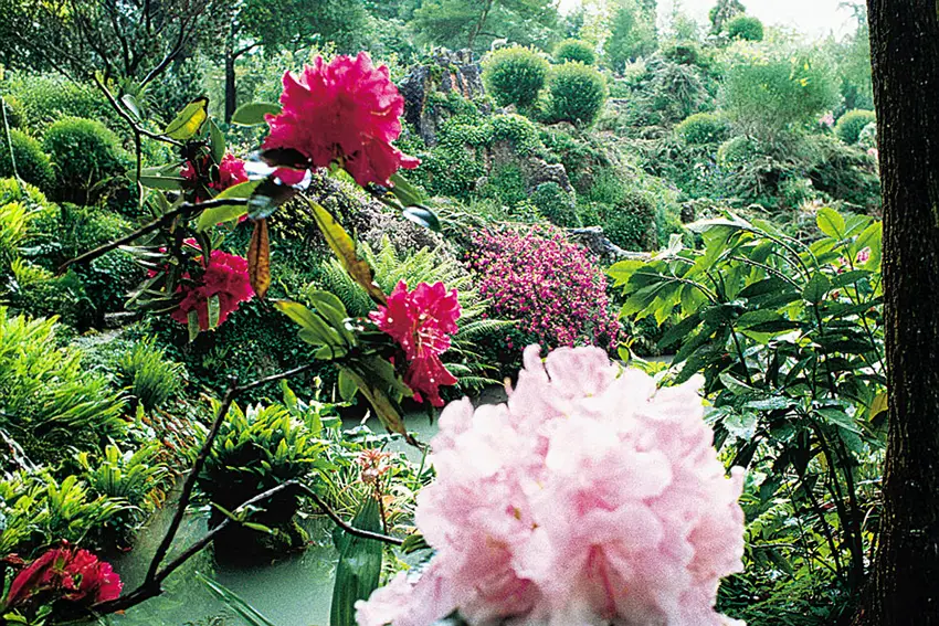 Botanischer Garten André Heller