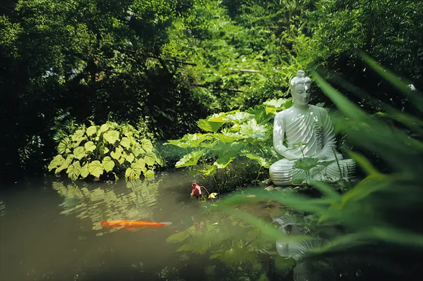 Teiche und Wasserfälle