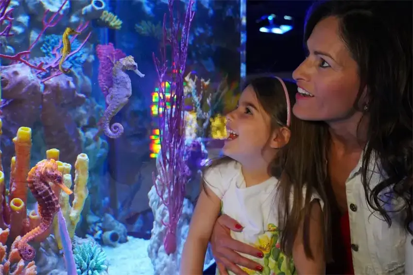 Sea Life Aquarium Gardasee