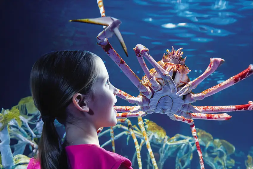 SEA LIFE Kinderbereich