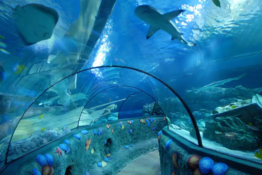 SEA LIFE Unterwassertunnel